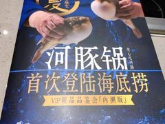 -海底捞火锅(漫乐城夜宵主题店)