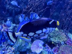 -太平洋海底世界