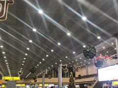 -谢列梅捷沃国际机场