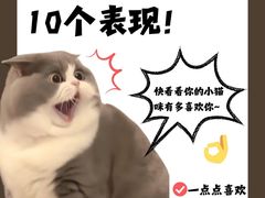 -荔康动物医院(康王北路店)