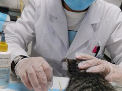 -达爱动物医院·犬猫分区·CT·复杂眼科(远洋山水分院)