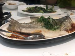 -至潮餐厅精致粤菜·活鲈鱼·走地鸡(珠江新城店)
