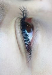 -BELLAREAL新美社
