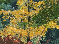 -杭州半山国家森林公园