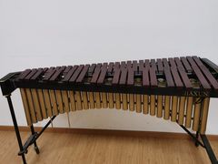 -音歆国艺馆·民乐培训(双榆树店)