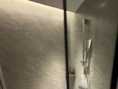 -南桥绿地铂骊酒店