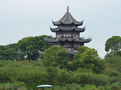 -上海海湾国家森林公园