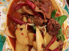 -巴依老爷新疆美食(清华东门店)