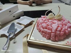 -BLACKSWAN黑天鹅(环球店)