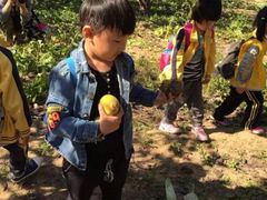 -北京市海淀区锦绣明天莲宝幼儿园