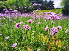 -云峰山自然风景区