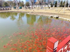 -西海子公园