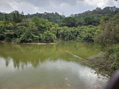 -滴水岩森林公园