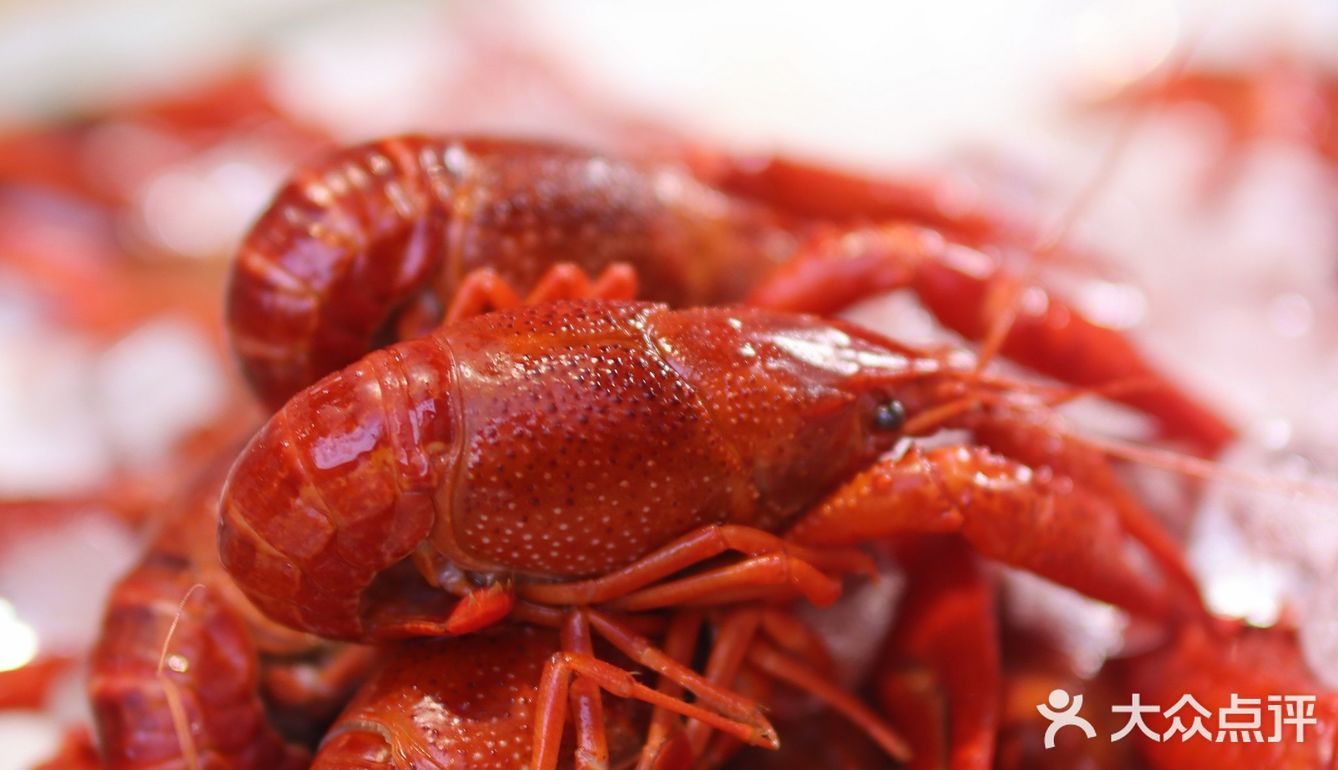 回味甘甜，夏天就是要吃冰镇小龙虾！