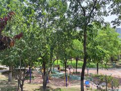 -元大都城垣遗址公园