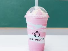-飞行喵MR PILOT|猫舍·猫咖(静安大融城店)