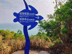 -广东惠东海龟国家级自然保护区