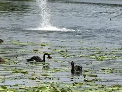 -长春世界雕塑园冰雪艺术天地