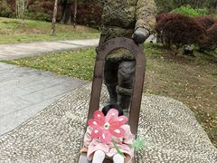 -广东花都湖国家湿地公园