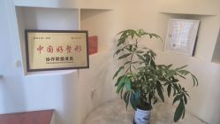 -美丽人生祛斑扁平疣汗管瘤中心