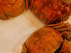 -王宝和酒家(黄浦店)