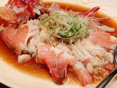 -新世纪大酒楼·30年南海菜