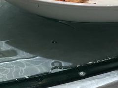 -金米箩大酒店(五角场店)