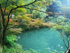 -岳麓山风景名胜区