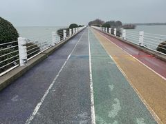 -贡湖湾湿地公园