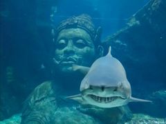 -暹罗海洋世界
