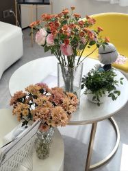 -JNK皮肤管理中心