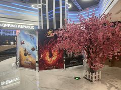 -春天国际影城(中庚漫游城杜比全景声店)