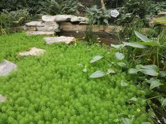 -南山植物园