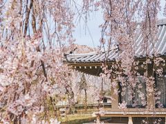 -醍醐寺