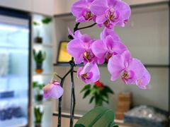 -道童年包点(龙江店)