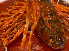 金毛狮子鱼-丹江渔村(望京店)