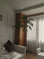 -HEYAN荷妍专业脱毛连锁机构