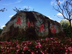 -广州市流溪河国家森林公园