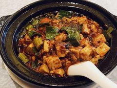 -陈麻婆豆腐总店