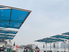 -武汉关码头(轮渡站)