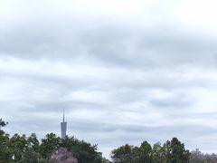 -东山湖公园