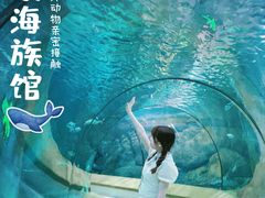 -福州罗源湾海洋世界旅游区