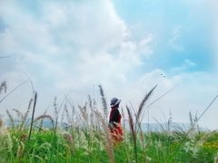 -光明小镇欢乐田园