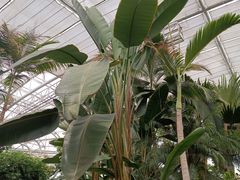 -北京植物园-展览温室