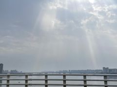 -瑶湖郊野森林公园