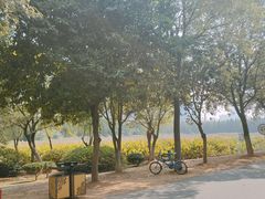 -艾溪湖湿地公园