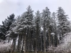 -硗碛藏寨·神木垒景区