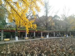 -四川大学(华西校区)