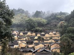 -杨家堂村