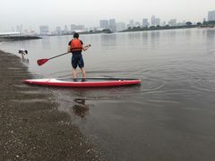 -台场海滨公园船码头
